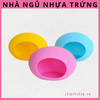 nha-ngu-trung-hamster