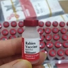 vaccine-dai-vanguard-rabies-3y-cho-cho-meo-vaccin-dai
