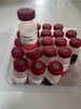 vaccine-dai-vanguard-rabies-3y-cho-cho-meo-vaccin-dai