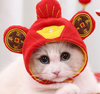 mu-than-tai-sieu-hot-hit-cho-cho-meo