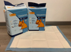 lot-xanh-100m-50m-cho-cho-meo