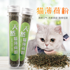 co-ong-catnip-cho-meo