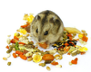 thuc-an-nguyen-chat-tui-to-cho-hamster-500g