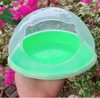 nha-tam-gau-to-cho-hamster