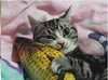 ca-bong-catnip-chuong-cho-cho-meo-18cm