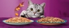pate-meo-lon-whiskas-tasty-mix-thit-va-rau-cu-70g