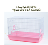 long-sat-sieu-to-60-33-38-long-sat-nuoi-hamster-soc-nhim-canh