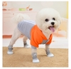 a-o-ni-co-mu-da-y-da-n-cho-thu-cung-cho-me-o-a-o-the-thao-tho-i-trang-sieu-hot