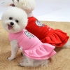 vay-keo-mut-de-thuong-cho-cho-meo