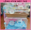 long-hamster-47cm-mat-thu