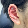 Bông tai con bướm - Titanium - 1.2*8mm