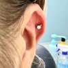 Titanium F136 Sparkly Kitten - 6 màu (đã kèm thân khuyên)