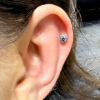 Titanium F136 Sparkly Kitten - 6 màu (đã kèm thân khuyên)
