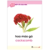 Bộ tranh giúp trẻ khám phá môi trường xung quanh – Một số loại hoa (song ngữ Việt – Anh)
