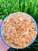Hành Indo loại 1