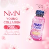 thuc-pham-bo-sung-nmn-young-collagen