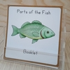 Cuốn sách nhỏ về các bộ phận của cá- Tiếng Anh