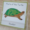 Cuốn sách nhỏ về các bộ phận của rùa- Tiếng Anh