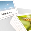 Thẻ phân loại động vật theo môi trường sống - Tiếng Việt