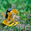 Robot Khủng long lắp ráp STEM
