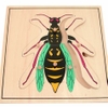 Khay ghép hình Cấu tạo Ong vò vẽ