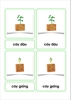 File thiết kế thẻ 3 phần vòng đời Cây Đậu - Tiếng Việt