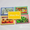 Thẻ ảnh 4 mùa