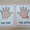 Thẻ tay trái tay phải