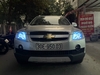 Độ bi pha cos Chevrolet Captiva
