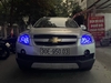 Độ bi pha cos Chevrolet Captiva