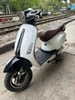 xe-dien-vespa-dibao-den-vuong