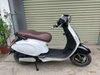 xe-dien-vespa-dibao-den-vuong