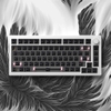 white-v3