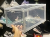 SNEAKER BOX