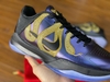 Kobe 5 protro replica