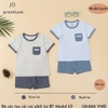 BỘ JO CỘC KẺ KẺ PHỐI TÚI CHẤT PETIT