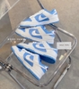 Nike Dunk Low Reverse UNC (W)