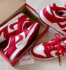 Nike Dunk Low SP University Red CU1727-100