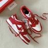 Nike Dunk Low SP University Red CU1727-100