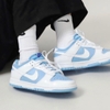 Nike Dunk Low Reverse UNC (W)