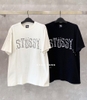 Stussy Ants Pig Dyed Tee Black