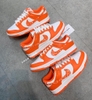 Nike Dunk Low Essential Paisley Pack Orange (W)