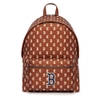 MLB Classic Monogram Boston Red Sox Brown