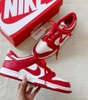Nike Dunk Low SP University Red CU1727-100