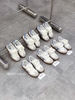 CHAMPION T-TRAINER ESSENTIALS