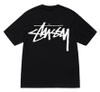 STUSSY BIG STOCK TEE