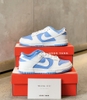 Nike Dunk Low Reverse UNC (W)