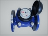 Đồng hồ nước thải T-FLOW DN150