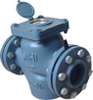 P-MAX - Đồng hồ đo nước