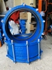 Khớp nối mềm BE D80